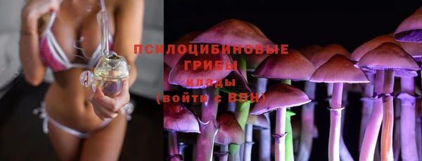apvp Абинск