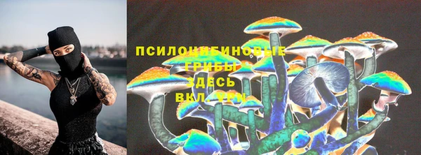скорость Алзамай